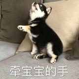 微凉*凡凡