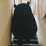 书友34622