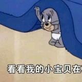 布吉岛主