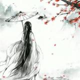 淡墨君子