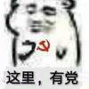 书友33176