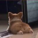 岁已