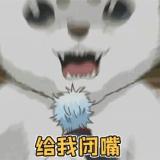 噼里啪啦卜