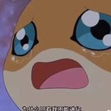 MItsunashi葵