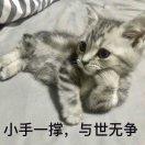 书友21522