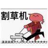 书友13539