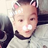 红狐狸的兔子