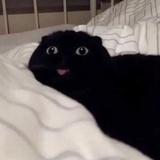 CTT