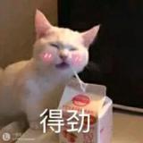 少女の小丸子