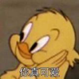 绿罗玉玉