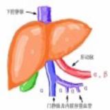 童泽文