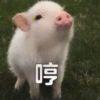 书友42226