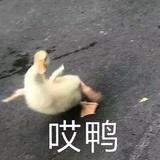 Sing