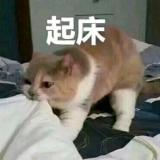 团子