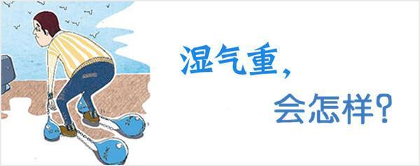 湿气重每天只需喝杯茶,轻松排出体内十年湿气,健康又漂亮!