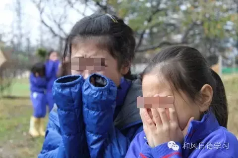 学生看着小猪被强拖上车,掩面哭泣.