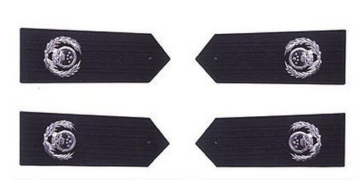 全日制硕士考上警察,是什么警衔 全日制研究生学历首次授衔授几司?有没有明确的规定?