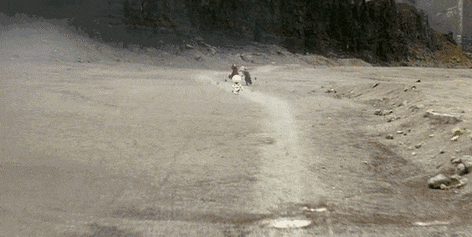 主角一行人在路上狂奔,穷追不舍的不是猛兽,而是一个个崛地而起的苍蝇