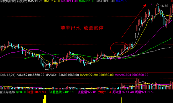股价连续涨停会被停盘吗-为什么股票停盘几个
