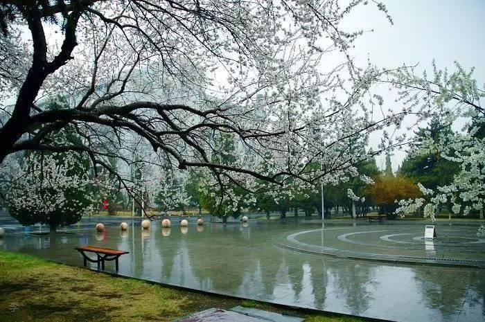 盘点中国占地面积居前十的高校都有谁_湖南拓