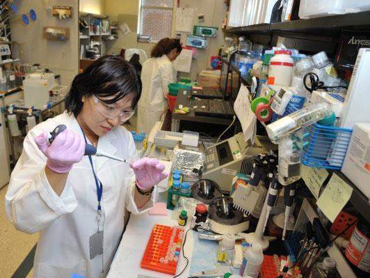 2型糖尿病人寿命有多长,糖尿病能长寿吗