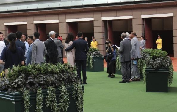 李嘉欣手戴巨钻, 与许晋亨十指紧扣现身马场, 老爷爱驹却大失水准