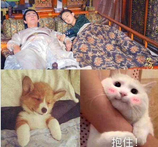 还有关于两个人的睡觉姿势,万能的网友又留下了搭配完美的表情包.