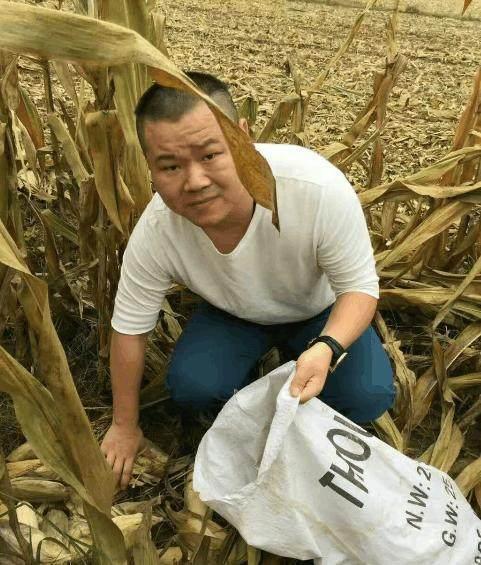 明星回农村干活, 谁务实谁作秀一眼就能看出