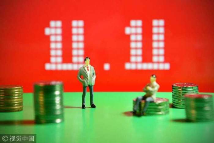 双十一你是剁手还是挣钱_百货店|MALL