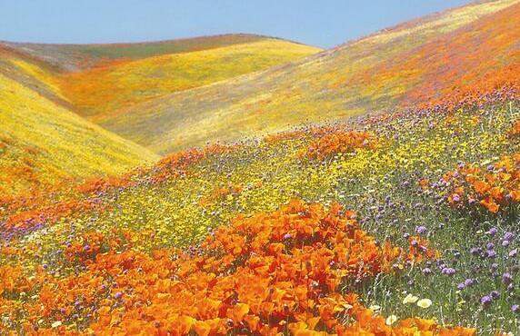 研《易》诀窍:“损益”两卦中的“元吉”和“永贞吉”区别