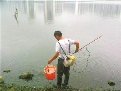 非法电鱼整治纳入村委考核, 猖獗电鱼现象得到遏制