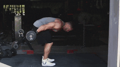 cocosyl 馆藏分类 gif 动作2:俯身杠铃腿后臂屈伸 gif 动作3:肱三头肌