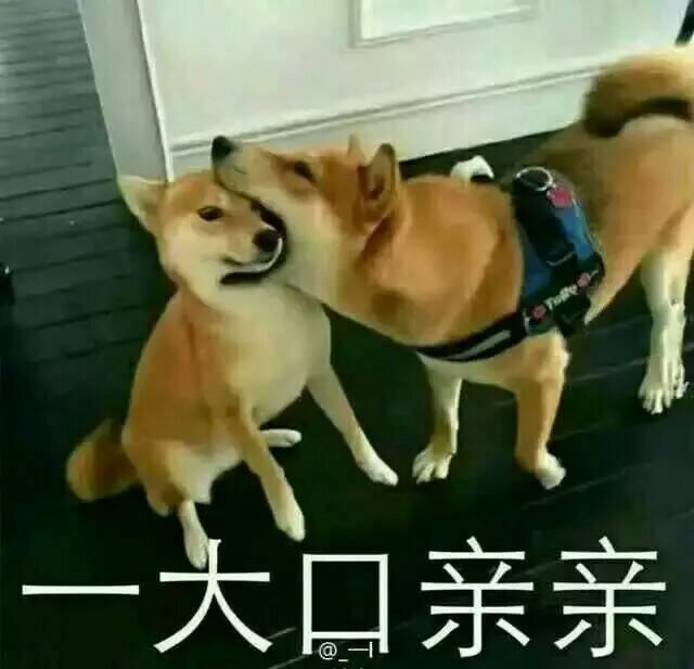 撅嘴巴亲亲表情包分享展示