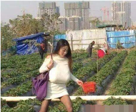 奇葩买家秀|弹力很好, 连上衣都省了