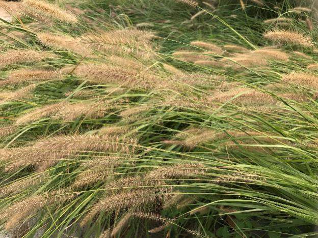 【海金仓】海金仓代表海科金集团参加2017健