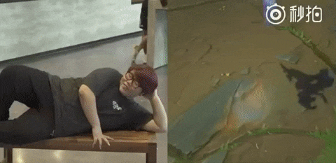 SKT冠军皮肤回城动画, 小黑有创意!faker最酷!然而最骚的还是他