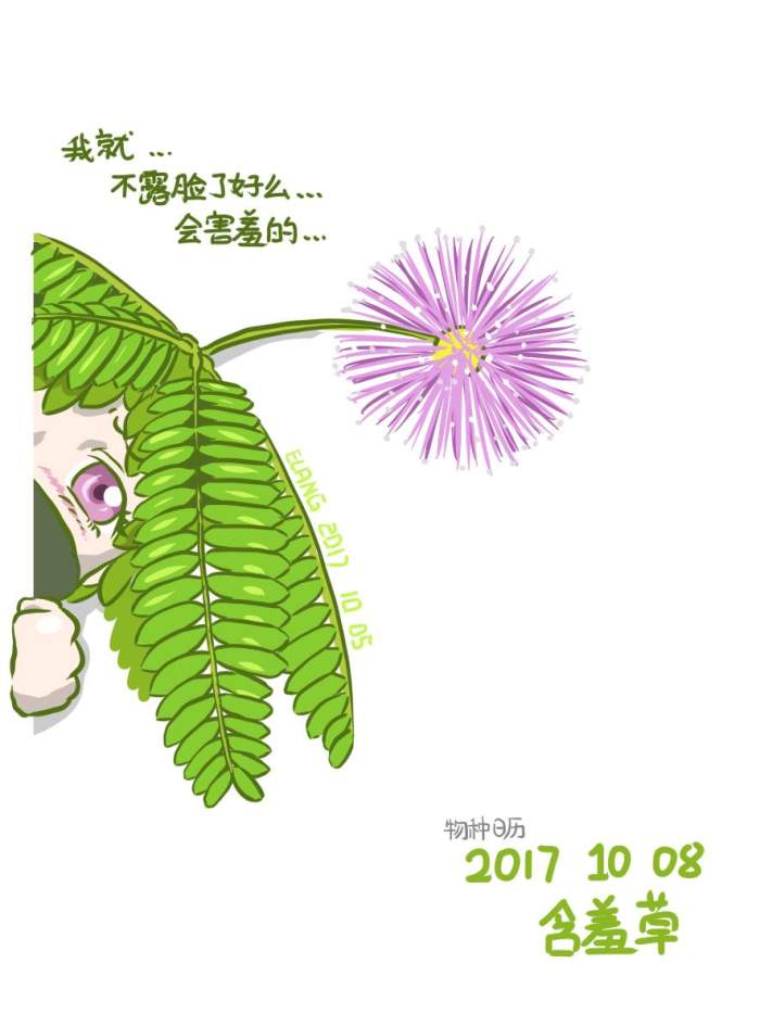 果壳【2017年物种日历】10月8日 含羞草