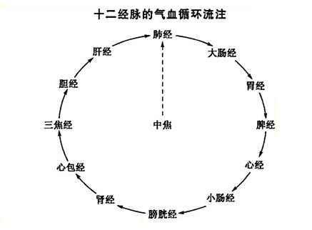 十二经脉中医穴位记忆口诀, 你知道多少?