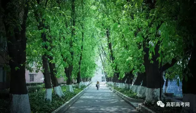 高职高考补录没有公办学校?还有机会? 高职高考补录没有公办学校?还有机会?