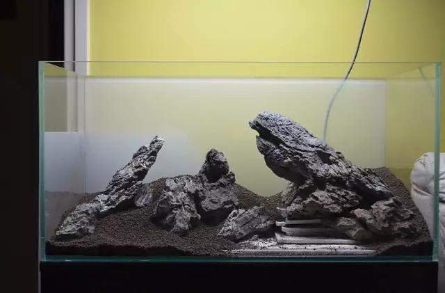 水草缸雨林缸造景:只用1种草做出的美景,简约不简单! 水草缸雨林缸造景:只用1种草做出的美景,简约不简单!