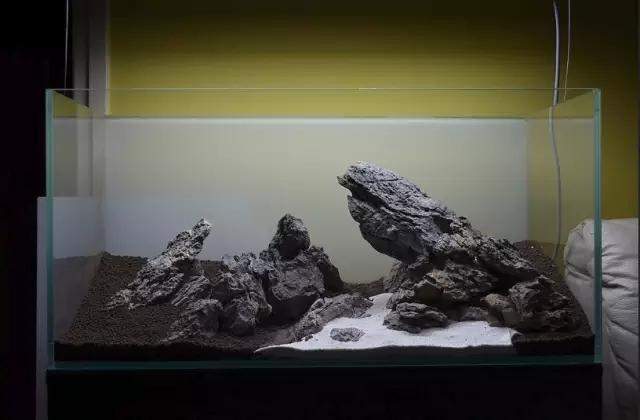 水草缸雨林缸造景:只用1种草做出的美景,简约不简单! 水草缸雨林缸造景:只用1种草做出的美景,简约不简单!