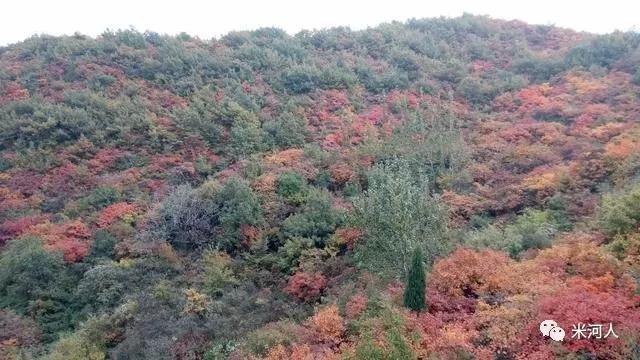 骑行巩义南山公路赏满山红叶