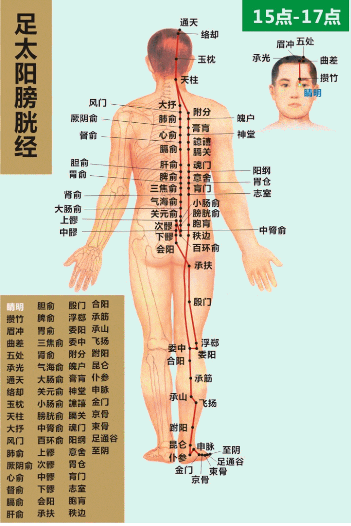 最全经络高清动图