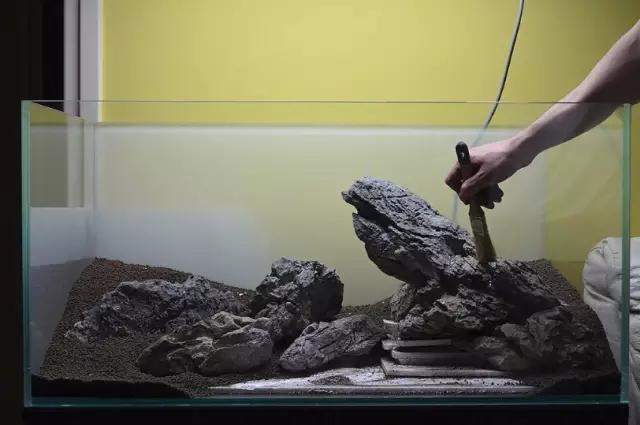 水草缸雨林缸造景:只用1种草做出的美景,简约不简单! 水草缸雨林缸造景:只用1种草做出的美景,简约不简单!