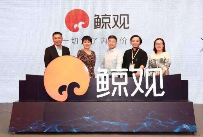 阿里鯨觀:共振視頻價(jià)值新高地-鋒巢網(wǎng)