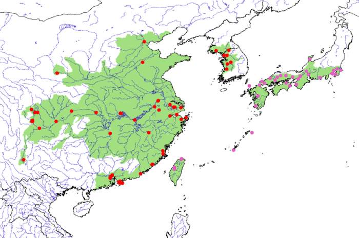 在过去,乌龟在我国的分布北限可以到达京津冀地区,南限则为广西,云南