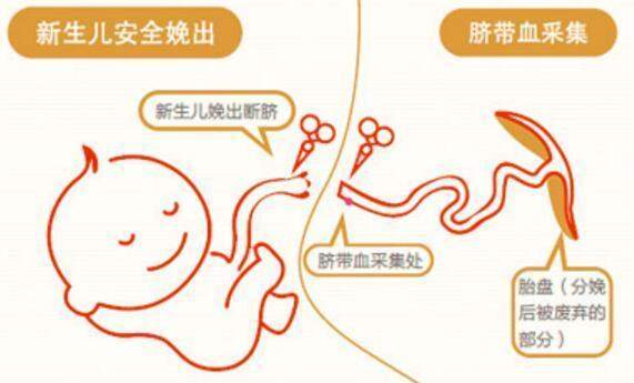 7岁白血病女儿留遗书: 我走了, 妈妈就回来 脐带血留还是不留