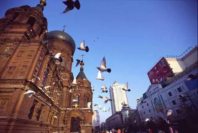 哈尔滨美女为啥全国第一?