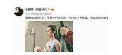 卓伟再爆 猛 料, 刘诗诗出轨? 吴奇隆神 回复打 脸, 网友一边 倒支持