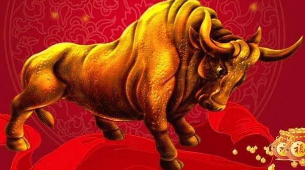 炒股的两大误区:死多头死空头_黑色的数值